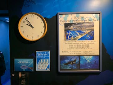 沖縄美ら海水族館に投稿された画像（2022/12/28）