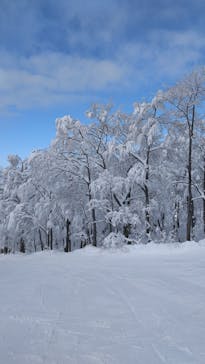 スキージャム勝山に投稿された画像（2022/12/28）