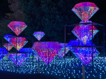 伊豆ぐらんぱる公園に投稿された画像（2022/12/28）