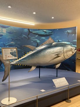 EventOfficeミキキートスに投稿された画像（2022/12/28）