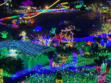 伊豆ぐらんぱる公園に投稿された画像（2022/12/28）