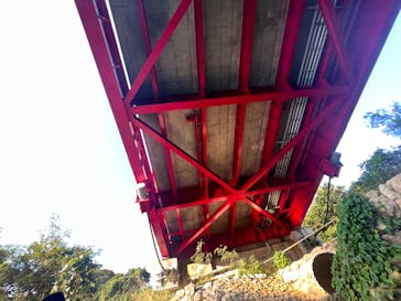 沖縄海うさぎ・海あしびに投稿された画像（2022/12/28）