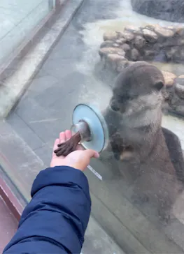 横浜・八景島シーパラダイスに投稿された画像（2022/12/28）