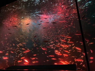 南知多ビーチランド＆南知多おもちゃ王国に投稿された画像（2022/12/28）