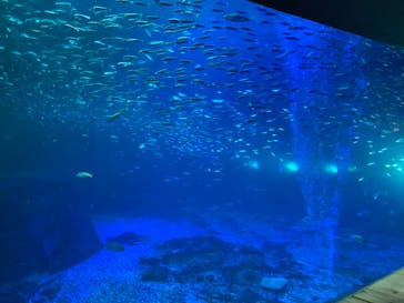 南知多ビーチランド＆南知多おもちゃ王国に投稿された画像（2022/12/28）