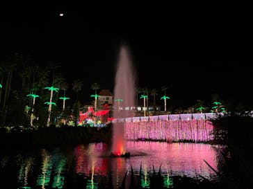 美らヤシパークオキナワ・東南植物楽園に投稿された画像（2022/12/28）