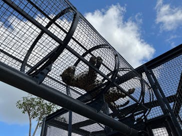 沖縄こどもの国に投稿された画像（2022/12/28）