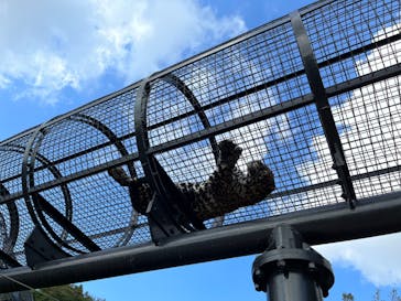 沖縄こどもの国に投稿された画像（2022/12/28）