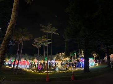 美らヤシパークオキナワ・東南植物楽園に投稿された画像（2022/12/28）