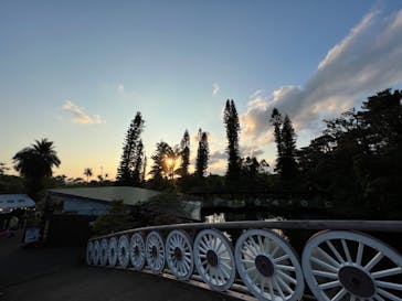 美らヤシパークオキナワ・東南植物楽園に投稿された画像（2022/12/28）
