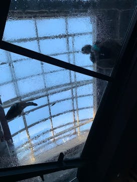 カワスイ 川崎⽔族館に投稿された画像（2022/12/28）