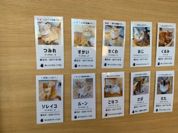 カワスイ 川崎⽔族館に投稿された画像（2022/12/28）