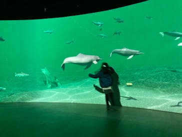 カワスイ 川崎⽔族館に投稿された画像（2022/12/28）