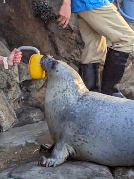 しながわ水族館に投稿された画像（2022/12/28）