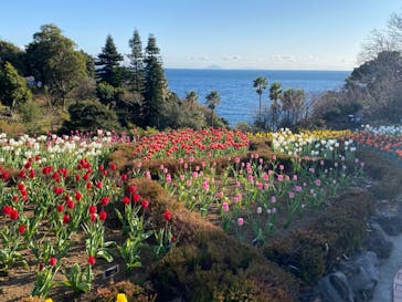 ニューヨークランプミュージアム＆フラワーガーデンに投稿された画像（2022/12/28）