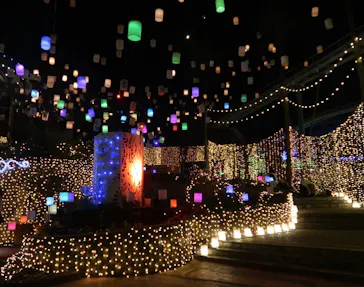 ひらかたパークに投稿された画像（2022/12/28）