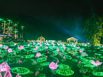 美らヤシパークオキナワ・東南植物楽園に投稿された画像（2022/12/29）