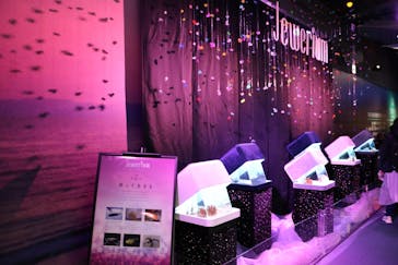 新江ノ島水族館に投稿された画像（2022/12/29）