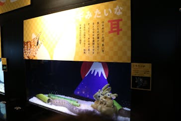 新江ノ島水族館に投稿された画像（2022/12/29）