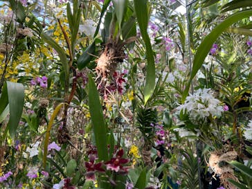 チームラボプラネッツ TOKYO DMMに投稿された画像（2022/12/29）