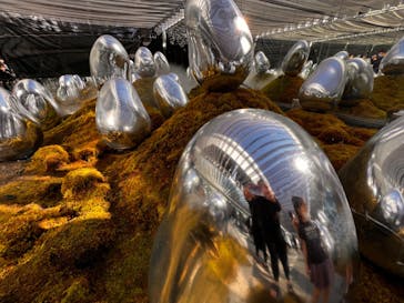 チームラボプラネッツ TOKYO DMMに投稿された画像（2022/12/29）