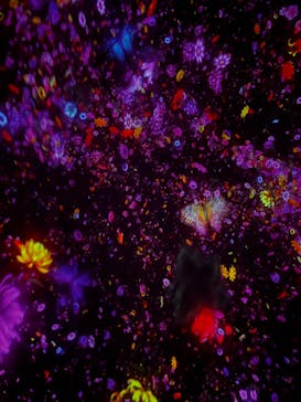 チームラボプラネッツ TOKYO DMMに投稿された画像（2022/12/29）