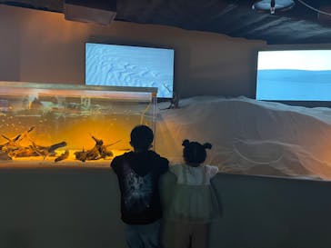 カワスイ 川崎⽔族館に投稿された画像（2022/12/29）