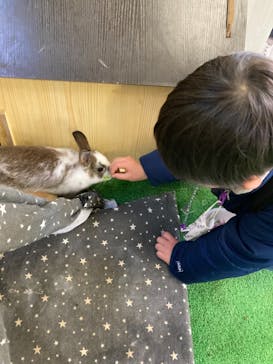 しろとり動物園に投稿された画像（2022/12/29）