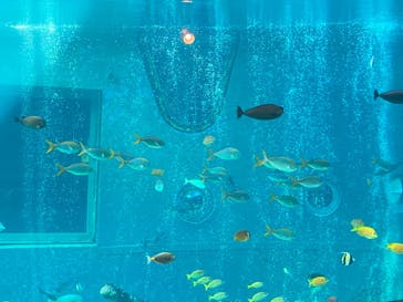 箱根園水族館に投稿された画像（2022/12/29）