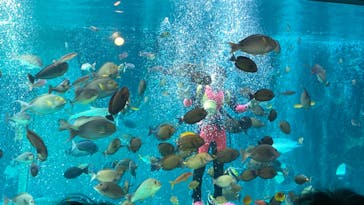 箱根園水族館に投稿された画像（2022/12/29）