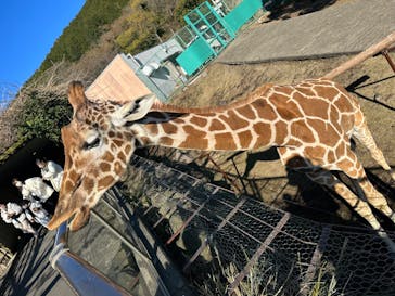 伊豆アニマルキングダムに投稿された画像（2022/12/29）