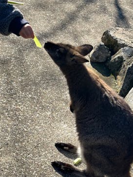 伊豆アニマルキングダムに投稿された画像（2022/12/29）