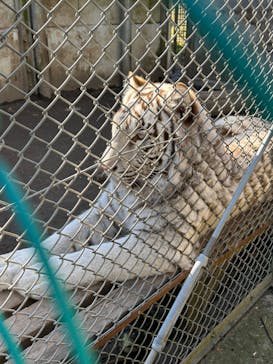 伊豆アニマルキングダムに投稿された画像（2022/12/29）