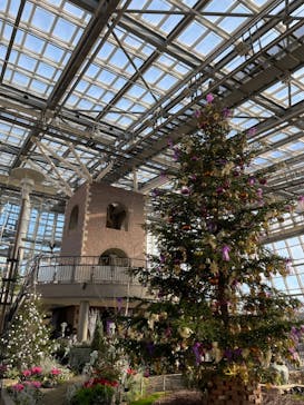 安城産業文化公園デンパークに投稿された画像（2022/12/29）