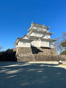 小田原城に投稿された画像（2022/12/29）