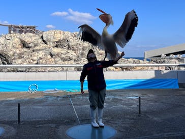 大分マリーンパレス水族館 「うみたまご」に投稿された画像（2022/12/29）