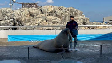 大分マリーンパレス水族館 「うみたまご」に投稿された画像（2022/12/29）