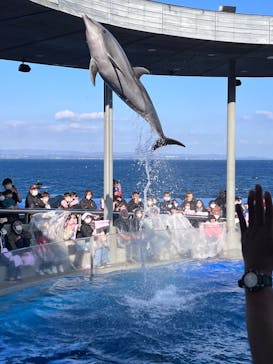 大分マリーンパレス水族館 「うみたまご」に投稿された画像（2022/12/29）