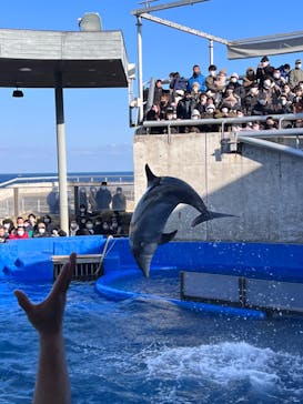 大分マリーンパレス水族館 「うみたまご」に投稿された画像（2022/12/29）