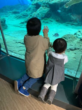 名古屋港水族館に投稿された画像（2022/12/29）