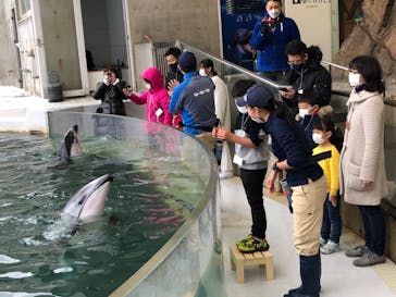 城崎マリンワールドに投稿された画像（2022/12/29）