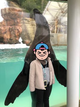 城崎マリンワールドに投稿された画像（2022/12/29）