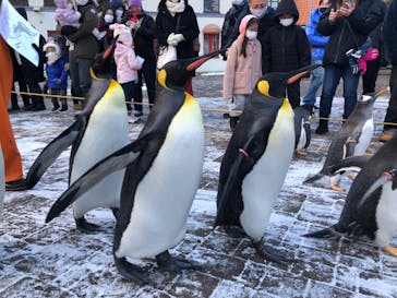 登別マリンパークニクスに投稿された画像（2022/12/29）