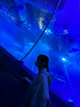 横浜・八景島シーパラダイスに投稿された画像（2022/12/29）