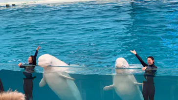 横浜・八景島シーパラダイスに投稿された画像（2022/12/29）