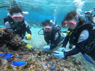 武藤潜水に投稿された画像（2022/12/29）