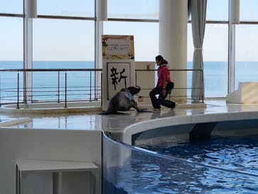 アクアワールド茨城県大洗水族館に投稿された画像（2022/12/29）