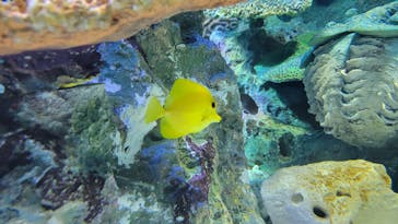 サンシャイン水族館に投稿された画像（2022/12/29）