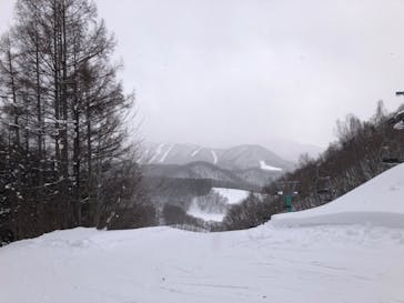 水上高原 藤原スキー場に投稿された画像（2022/12/29）