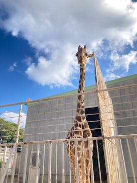 九十九島動植物園森きららに投稿された画像（2022/12/29）